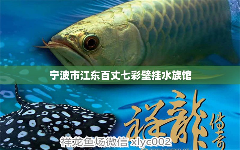 宁波市江东百丈七彩壁挂水族馆