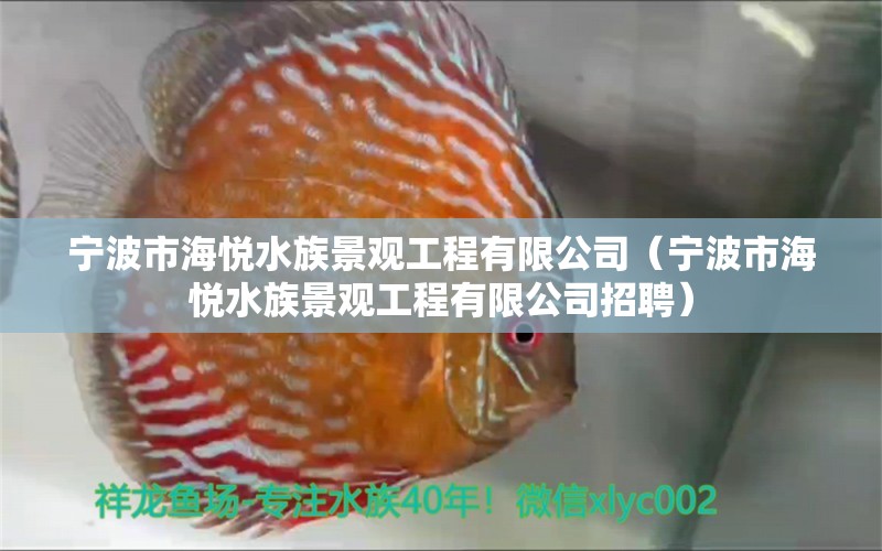 宁波市海悦水族景观工程有限公司（宁波市海悦水族景观工程有限公司招聘）