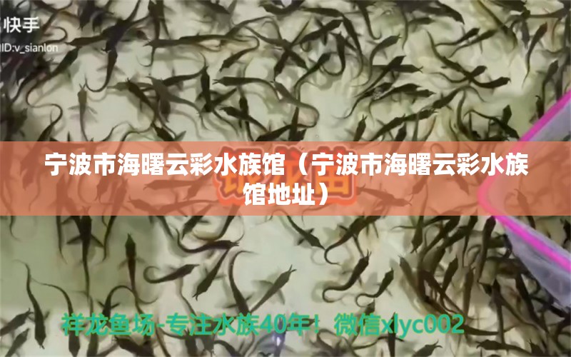 宁波市海曙云彩水族馆（宁波市海曙云彩水族馆地址） 全国水族馆企业名录