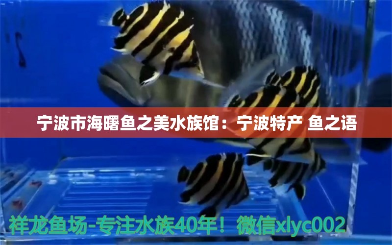 宁波市海曙鱼之美水族馆：宁波特产 鱼之语