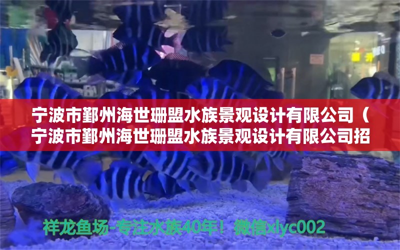 宁波市鄞州海世珊盟水族景观设计有限公司（宁波市鄞州海世珊盟水族景观设计有限公司招聘） 广州景观设计