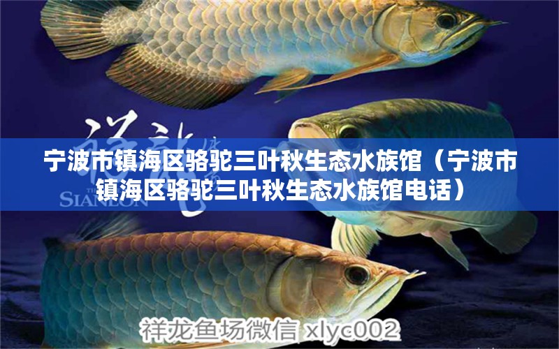 宁波市镇海区骆驼三叶秋生态水族馆（宁波市镇海区骆驼三叶秋生态水族馆电话）