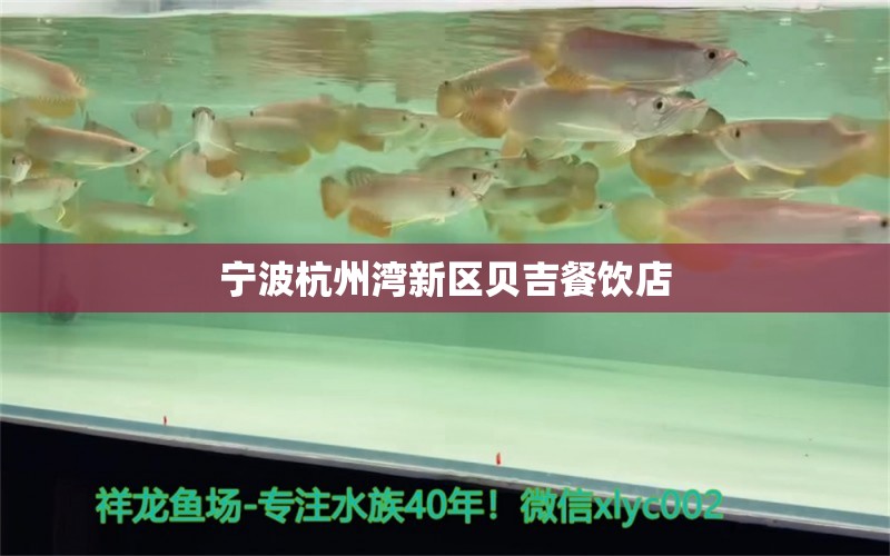 宁波杭州湾新区贝吉餐饮店 全国水族馆企业名录