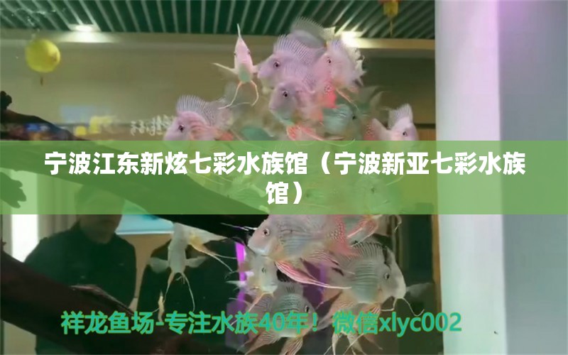 宁波江东新炫七彩水族馆（宁波新亚七彩水族馆）