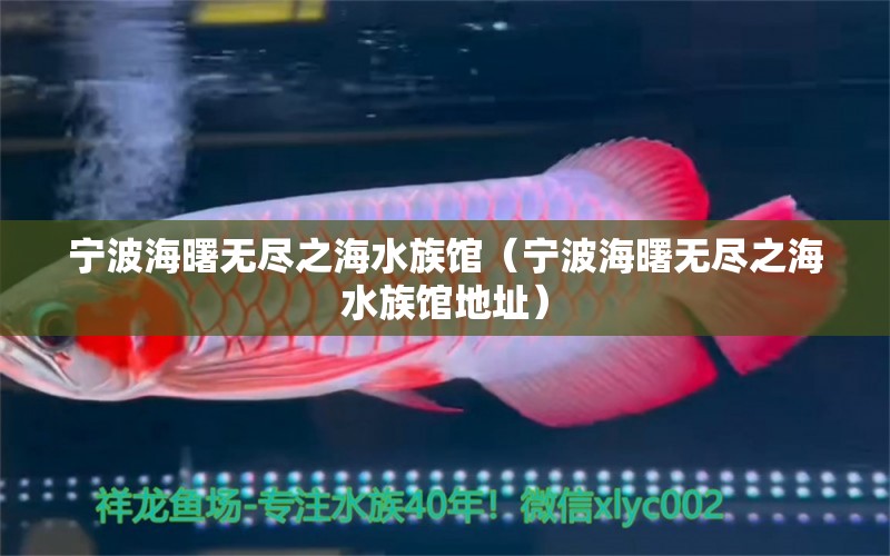 宁波海曙无尽之海水族馆（宁波海曙无尽之海水族馆地址）