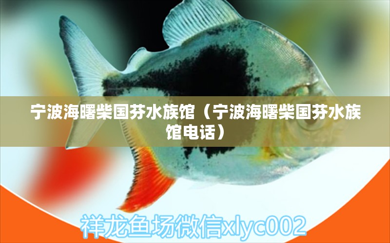 宁波海曙柴国芬水族馆（宁波海曙柴国芬水族馆电话）