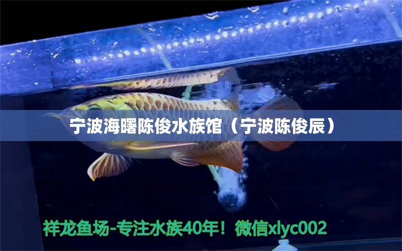 宁波海曙陈俊水族馆（宁波陈俊辰） 全国水族馆企业名录