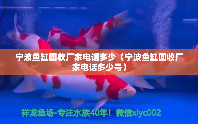 宁波鱼缸回收厂家电话多少（宁波鱼缸回收厂家电话多少号） 祥龙水族医院