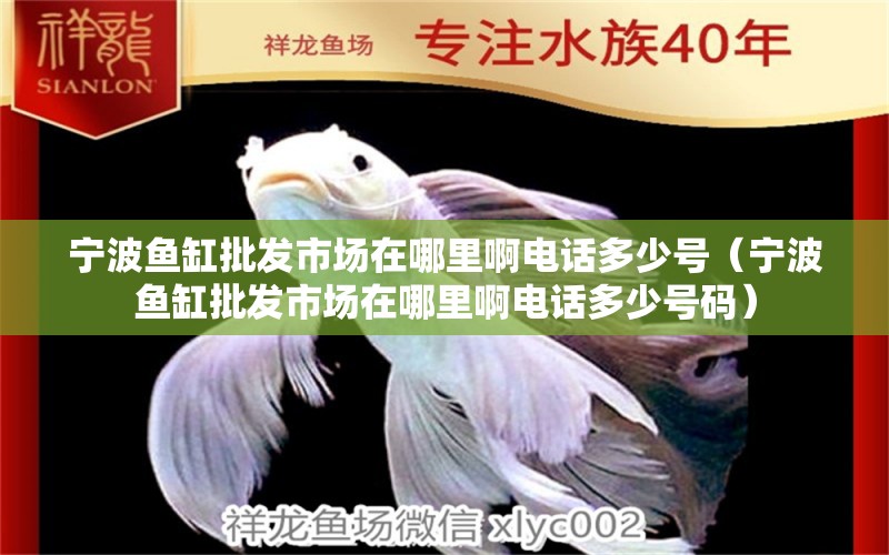 宁波鱼缸批发市场在哪里啊电话多少号（宁波鱼缸批发市场在哪里啊电话多少号码）