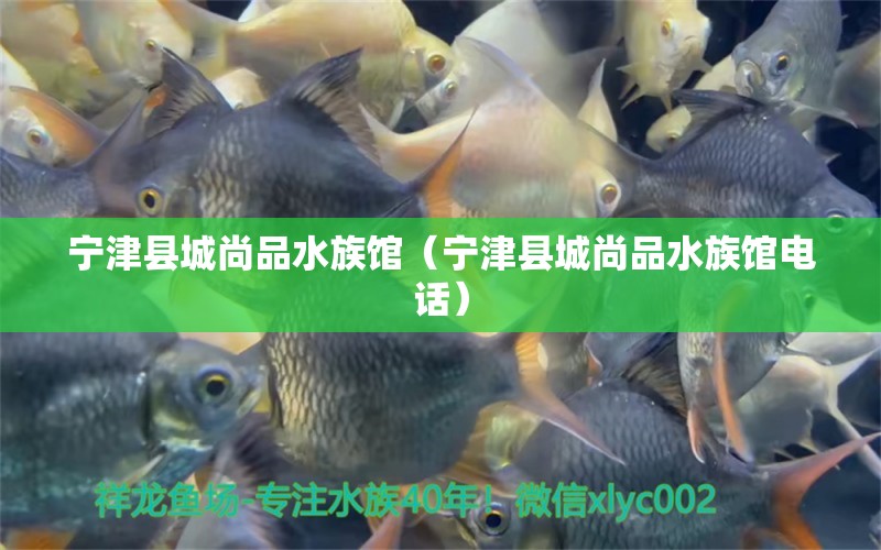 宁津县城尚品水族馆（宁津县城尚品水族馆电话）