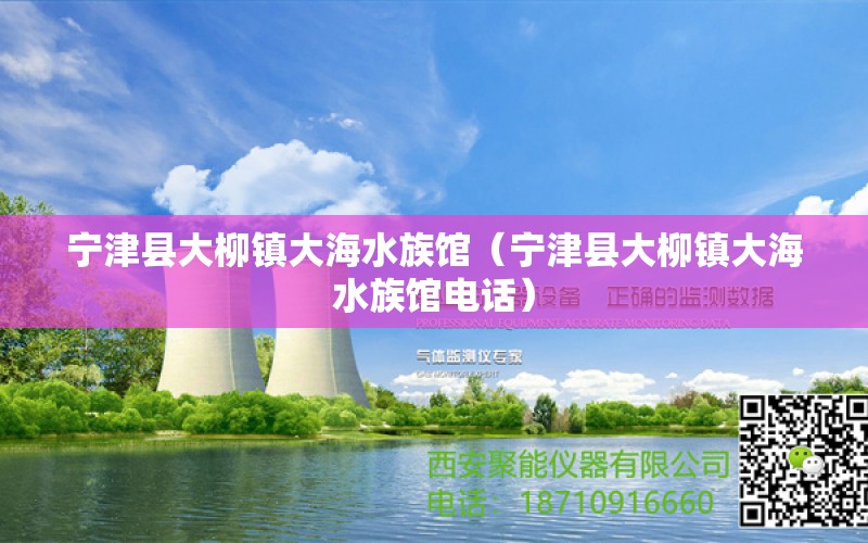 宁津县大柳镇大海水族馆（宁津县大柳镇大海水族馆电话） 全国水族馆企业名录