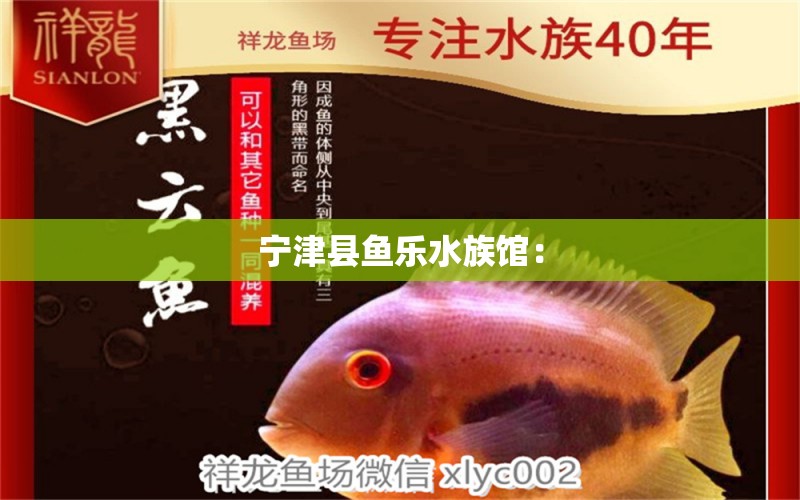 宁津县鱼乐水族馆：