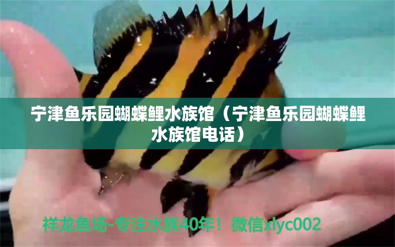 宁津鱼乐园蝴蝶鲤水族馆（宁津鱼乐园蝴蝶鲤水族馆电话） 蝴蝶鲤