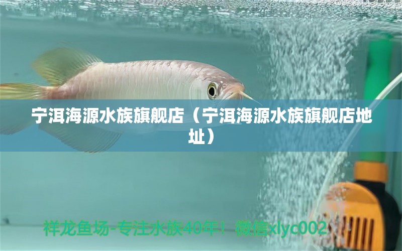 宁洱海源水族旗舰店（宁洱海源水族旗舰店地址）