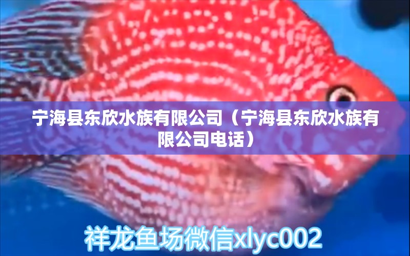 宁海县东欣水族有限公司（宁海县东欣水族有限公司电话）