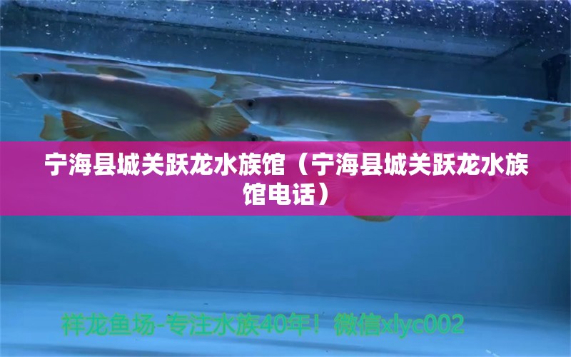 宁海县城关跃龙水族馆（宁海县城关跃龙水族馆电话） 全国水族馆企业名录