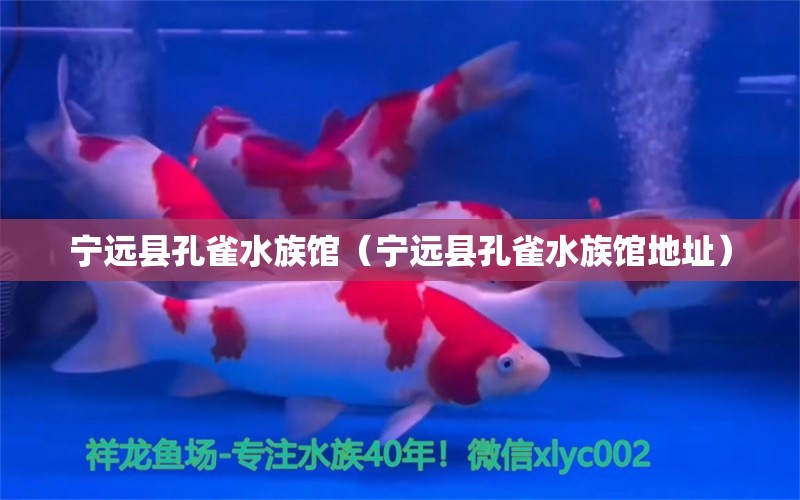 宁远县孔雀水族馆（宁远县孔雀水族馆地址） 全国水族馆企业名录