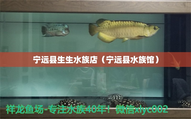 宁远县生生水族店（宁远县水族馆） 全国水族馆企业名录