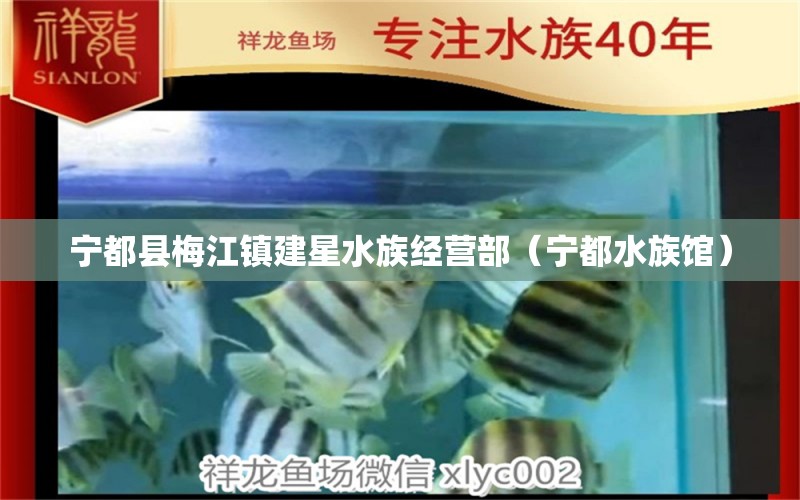 宁都县梅江镇建星水族经营部（宁都水族馆）