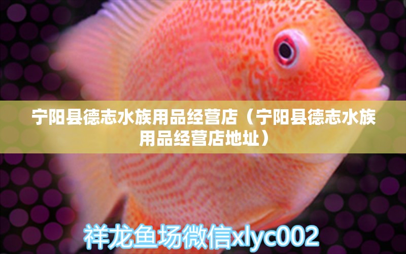 宁阳县德志水族用品经营店（宁阳县德志水族用品经营店地址）