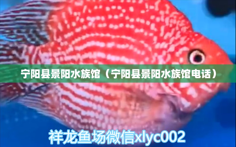 宁阳县景阳水族馆（宁阳县景阳水族馆电话）