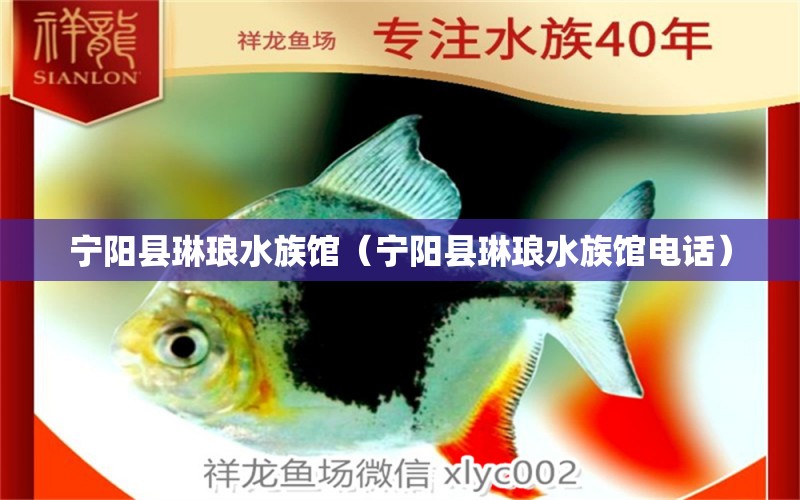 宁阳县琳琅水族馆（宁阳县琳琅水族馆电话）