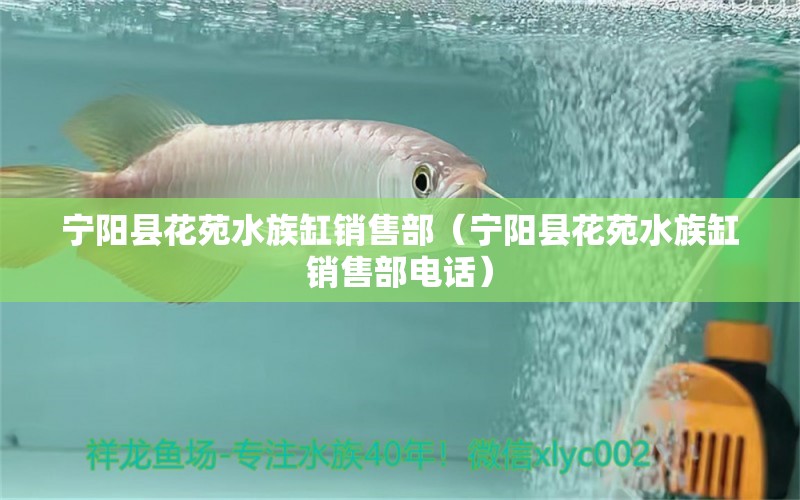 宁阳县花苑水族缸销售部（宁阳县花苑水族缸销售部电话） 全国水族馆企业名录