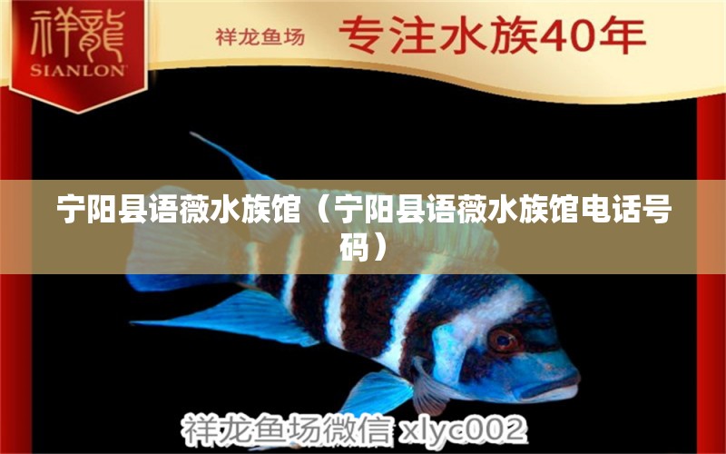 宁阳县语薇水族馆（宁阳县语薇水族馆电话号码） 全国水族馆企业名录