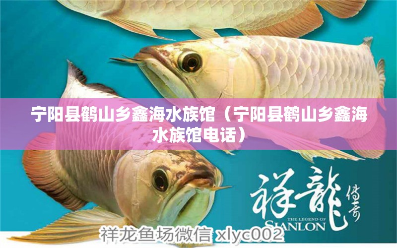 宁阳县鹤山乡鑫海水族馆（宁阳县鹤山乡鑫海水族馆电话） 全国水族馆企业名录