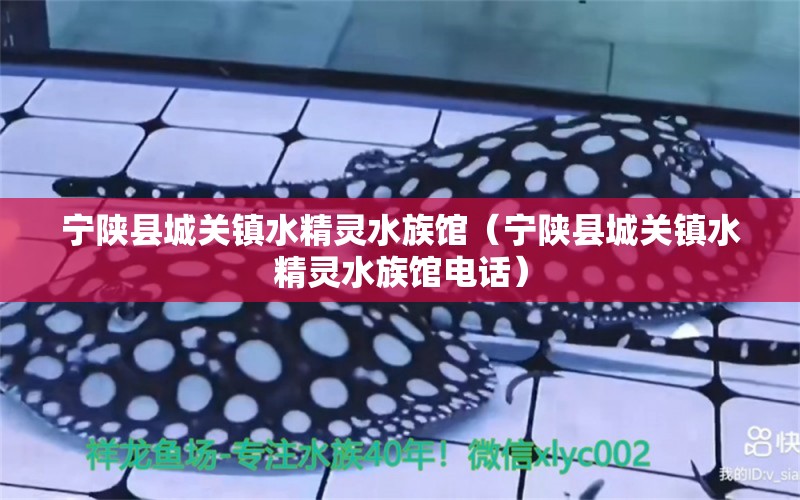 宁陕县城关镇水精灵水族馆（宁陕县城关镇水精灵水族馆电话） 全国水族馆企业名录