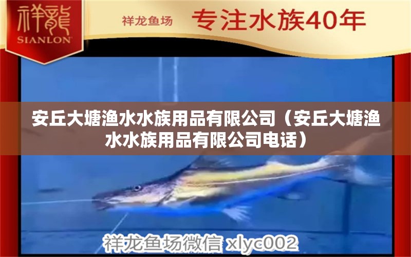 安丘大塘渔水水族用品有限公司（安丘大塘渔水水族用品有限公司电话） 水族用品