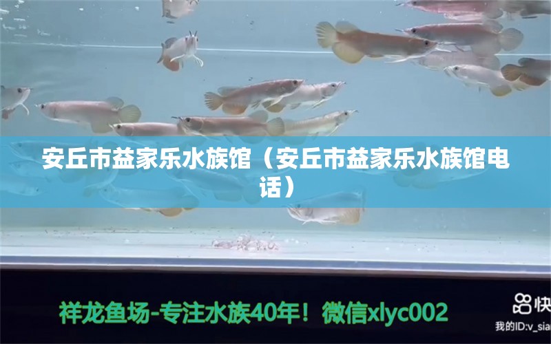 安丘市益家乐水族馆（安丘市益家乐水族馆电话） 全国水族馆企业名录