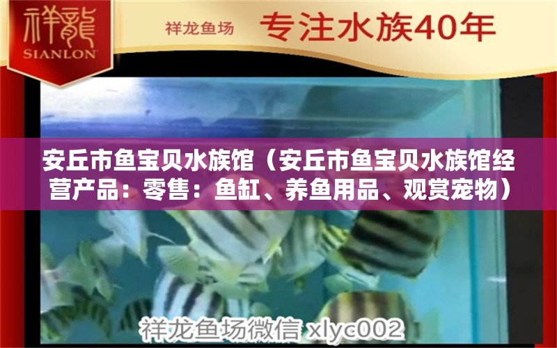 安丘市鱼宝贝水族馆（安丘市鱼宝贝水族馆经营产品：零售：鱼缸、养鱼用品、观赏宠物） 全国观赏鱼市场 第2张