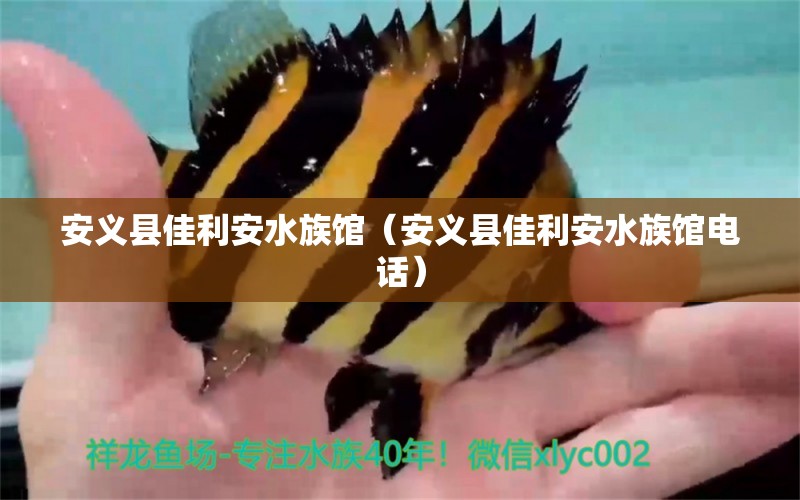 安义县佳利安水族馆（安义县佳利安水族馆电话） 全国水族馆企业名录