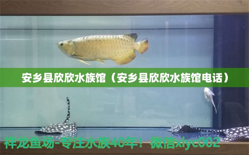 安乡县欣欣水族馆（安乡县欣欣水族馆电话）