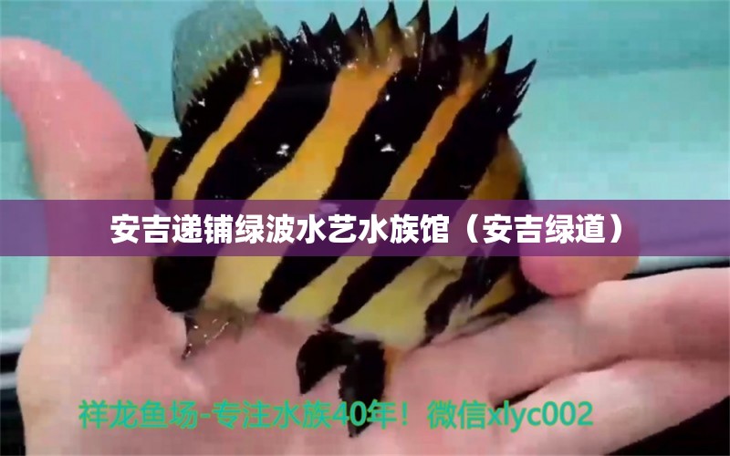 安吉递铺绿波水艺水族馆（安吉绿道）