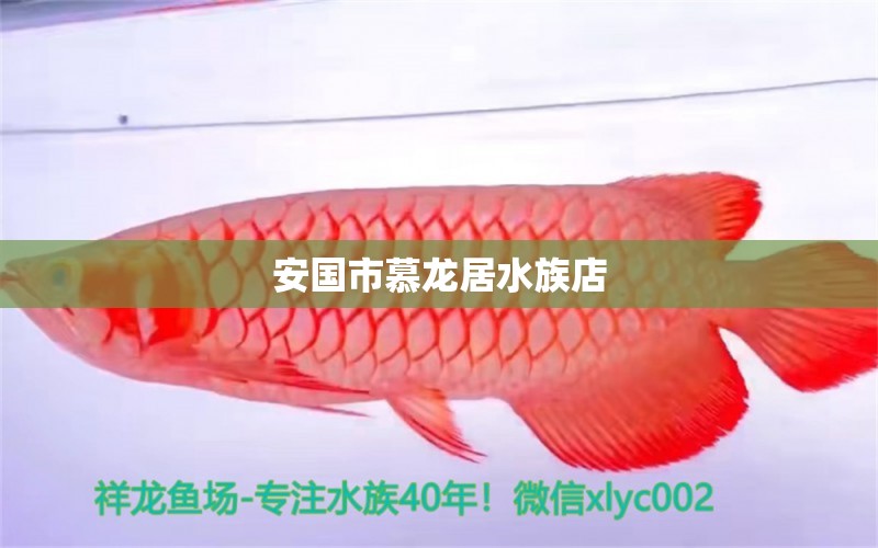 安国市慕龙居水族店 全国水族馆企业名录