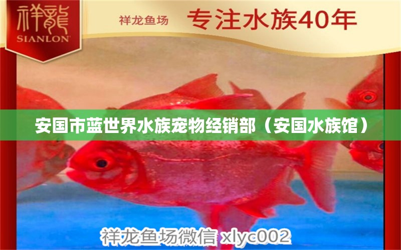 安国市蓝世界水族宠物经销部（安国水族馆） 全国水族馆企业名录