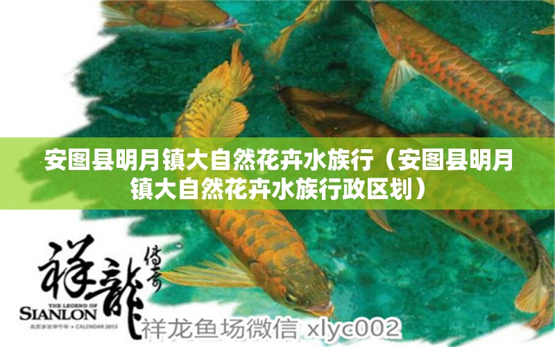 安图县明月镇大自然花卉水族行（安图县明月镇大自然花卉水族行政区划） 全国水族馆企业名录