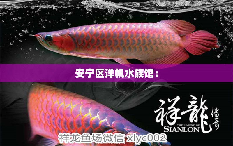 安宁区洋帆水族馆：