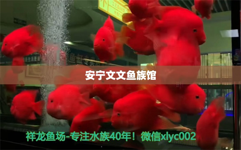 安宁文文鱼族馆 全国水族馆企业名录