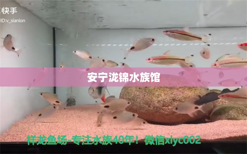 安宁泷锦水族馆