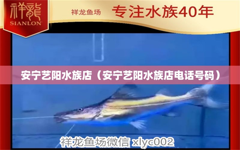 安宁艺阳水族店（安宁艺阳水族店电话号码） 全国水族馆企业名录