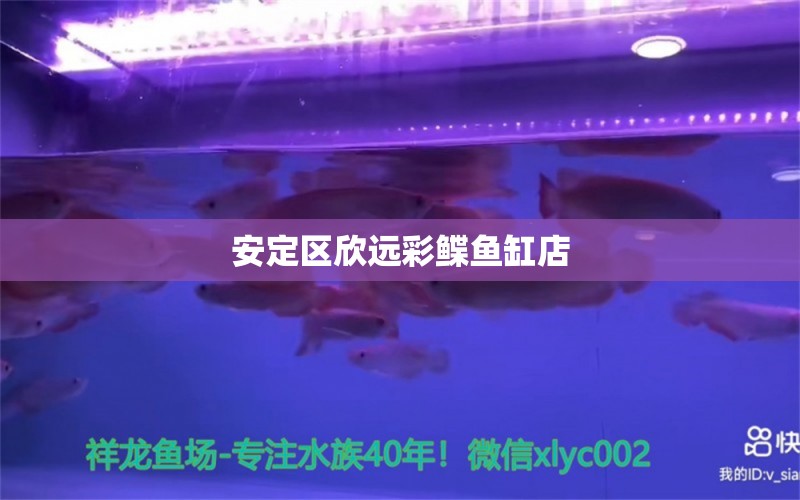 安定区欣远彩鲽鱼缸店 全国水族馆企业名录