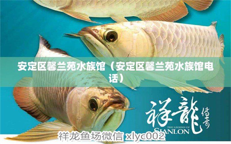 安定区馨兰苑水族馆（安定区馨兰苑水族馆电话） 全国水族馆企业名录