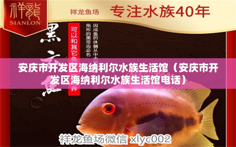 安庆市开发区海纳利尔水族生活馆（安庆市开发区海纳利尔水族生活馆电话）