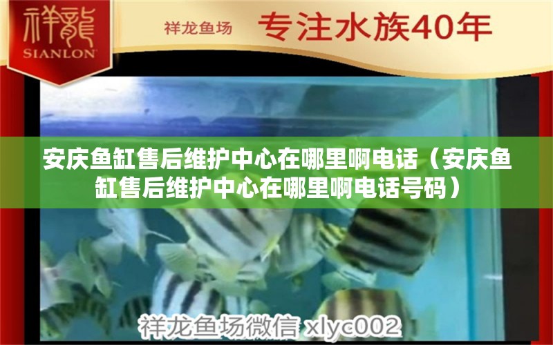 安庆鱼缸售后维护中心在哪里啊电话（安庆鱼缸售后维护中心在哪里啊电话号码） 其他品牌鱼缸