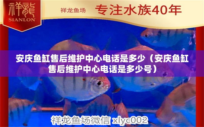 安庆鱼缸售后维护中心电话是多少（安庆鱼缸售后维护中心电话是多少号）