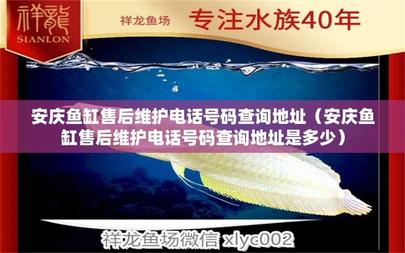 安庆鱼缸售后维护电话号码查询地址（安庆鱼缸售后维护电话号码查询地址是多少）