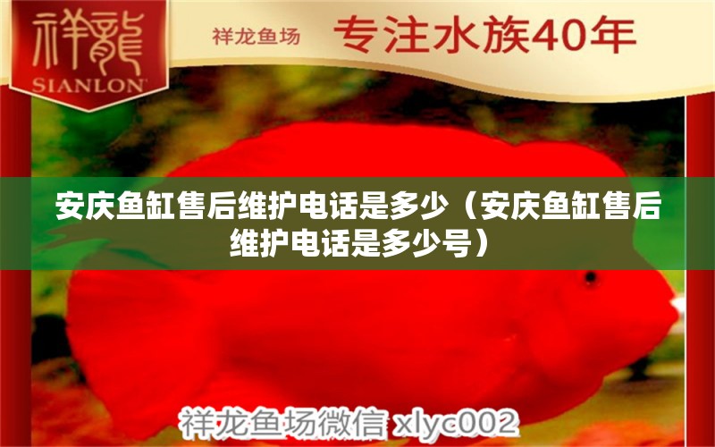 安庆鱼缸售后维护电话是多少（安庆鱼缸售后维护电话是多少号）